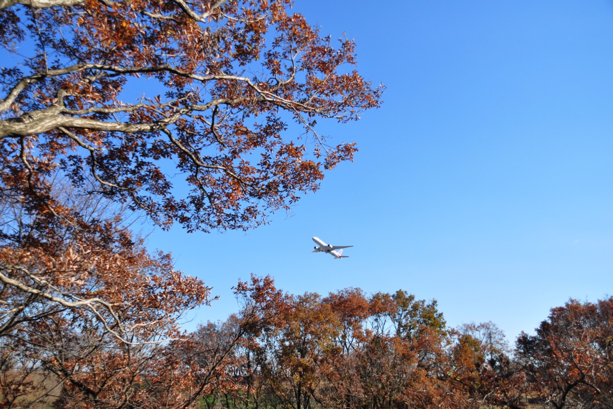 撮影・成田空港・さくらの山公園