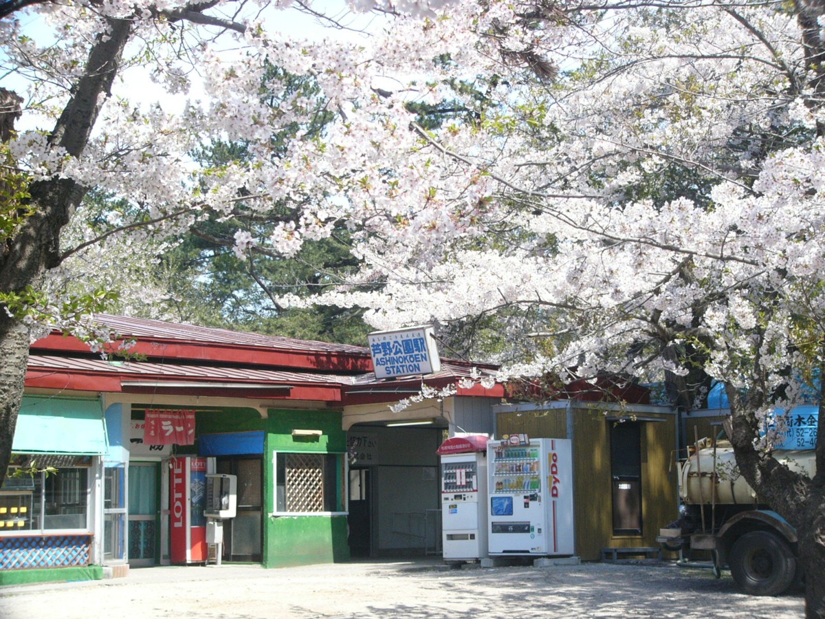 撮影・風景写真・桜・芦野公園