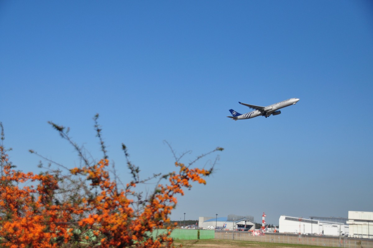 撮影・成田空港・三里塚さくらの丘