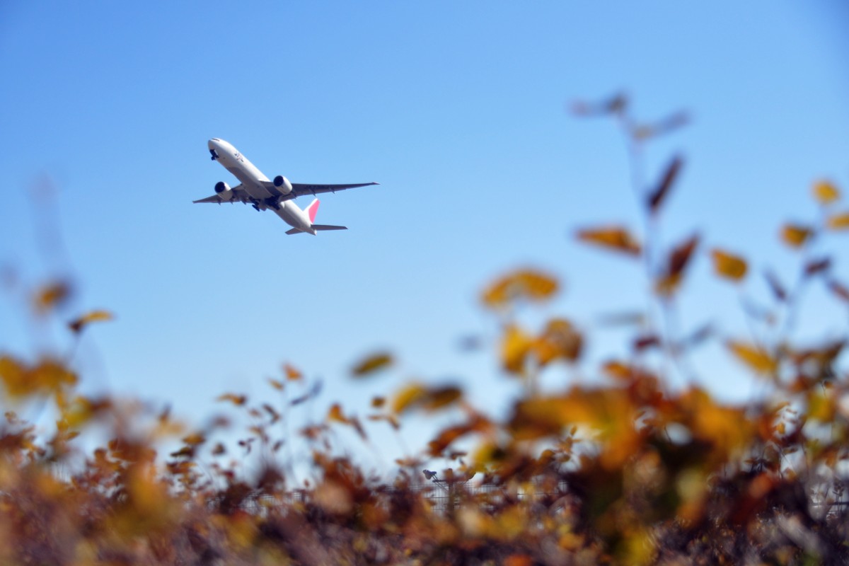 撮影・成田空港・さくらの山公園