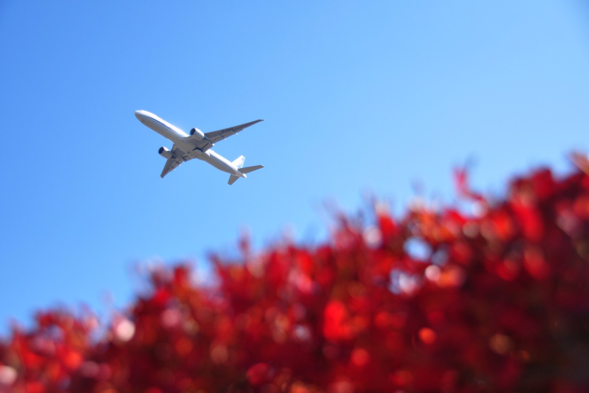撮影・成田空港・さくらの山公園