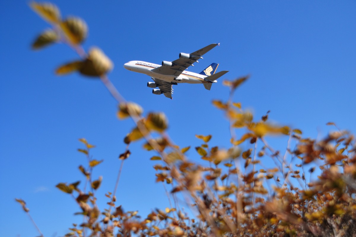 撮影・成田空港・さくらの山公園