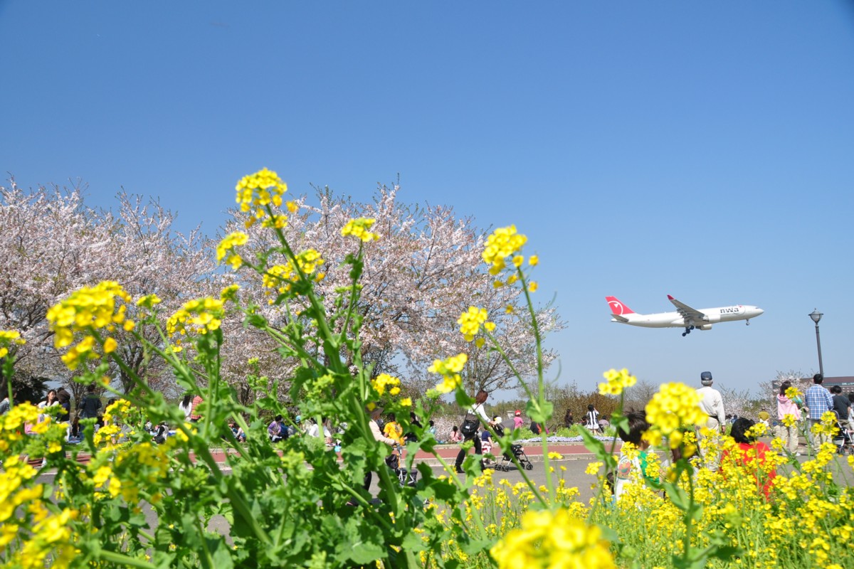 撮影・成田空港・さくらの山公園