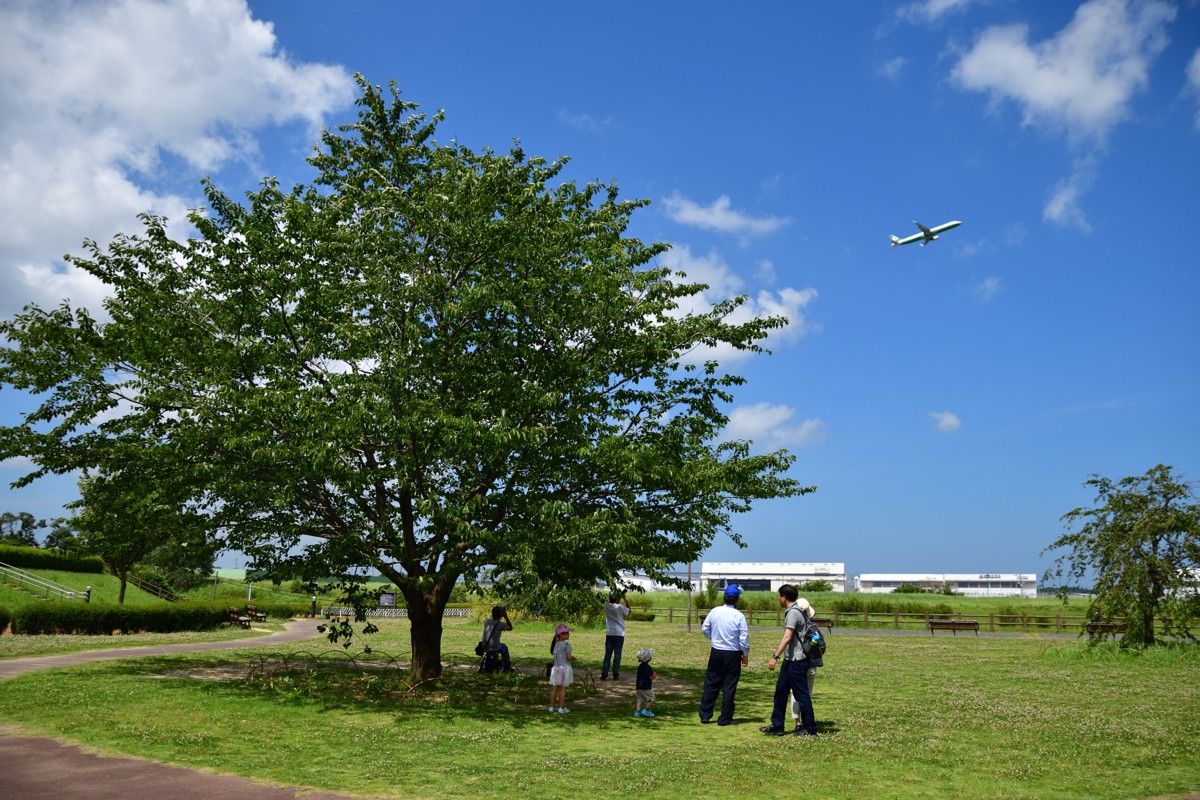 撮影・成田空港・三里塚さくらの丘