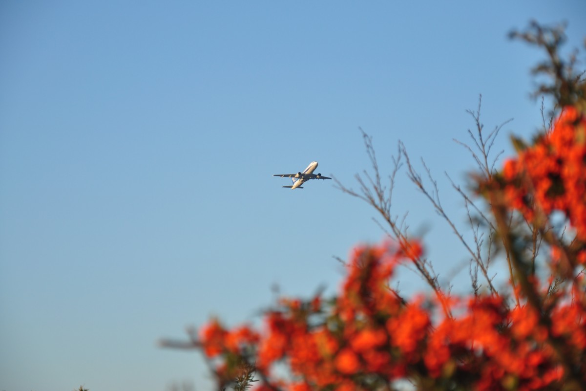 撮影・成田空港・三里塚さくらの丘
