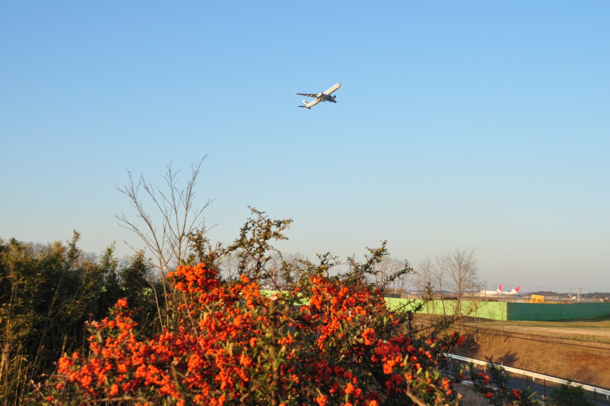 撮影・成田空港・三里塚さくらの丘