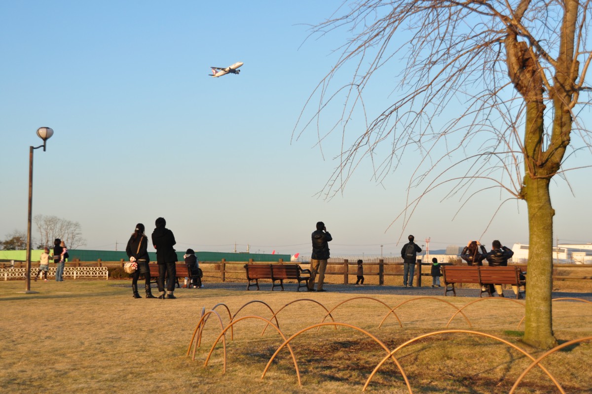 撮影・成田空港・三里塚さくらの丘