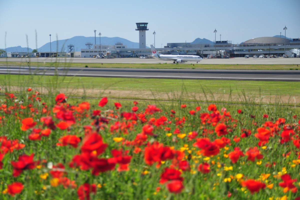 撮影・高松空港