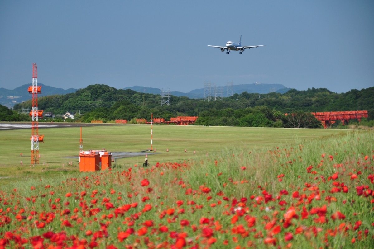 撮影・高松空港