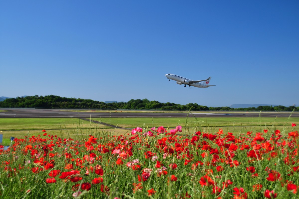 撮影・高松空港
