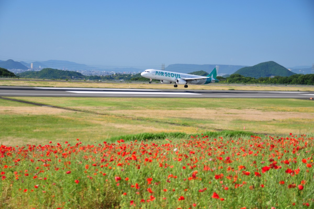 撮影・高松空港