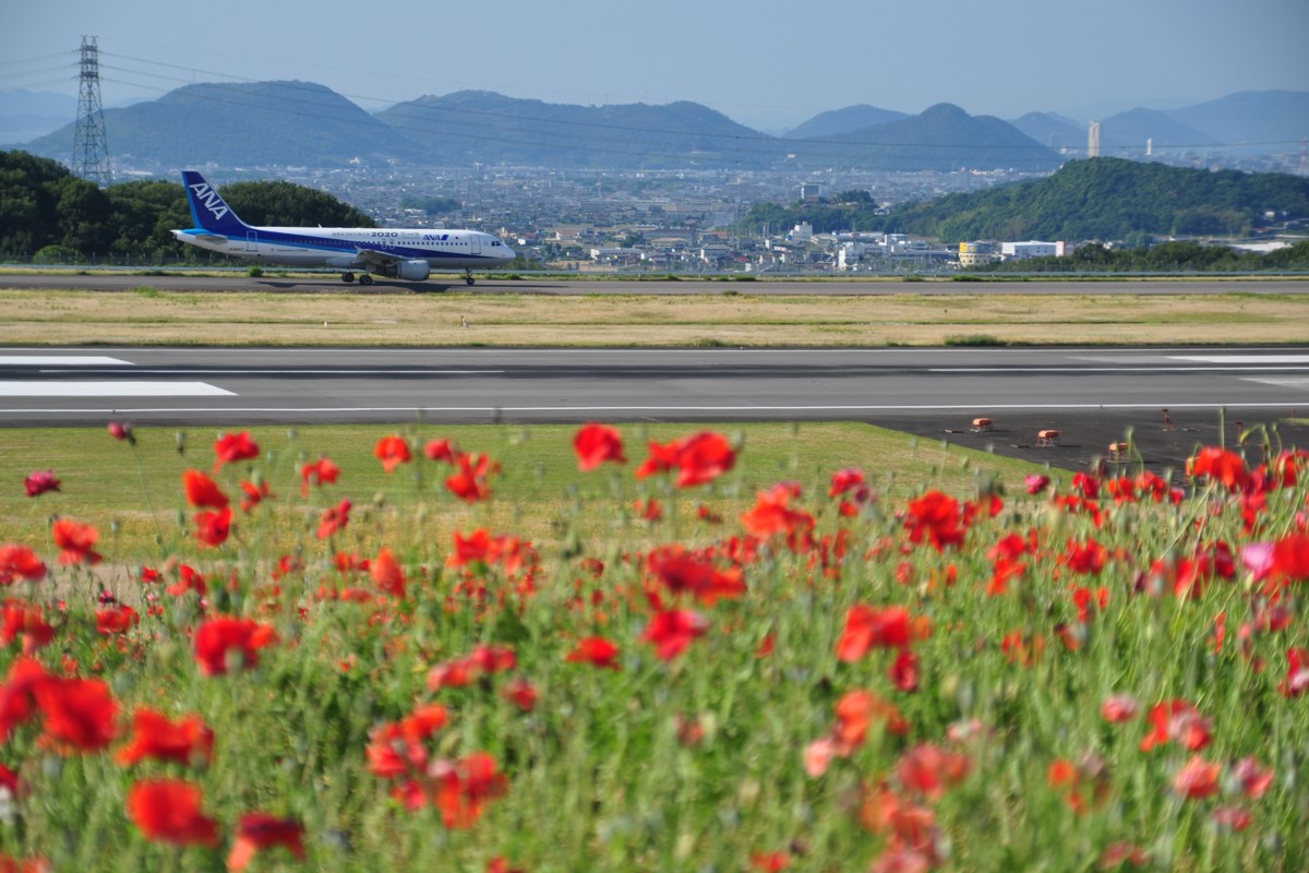 撮影・高松空港