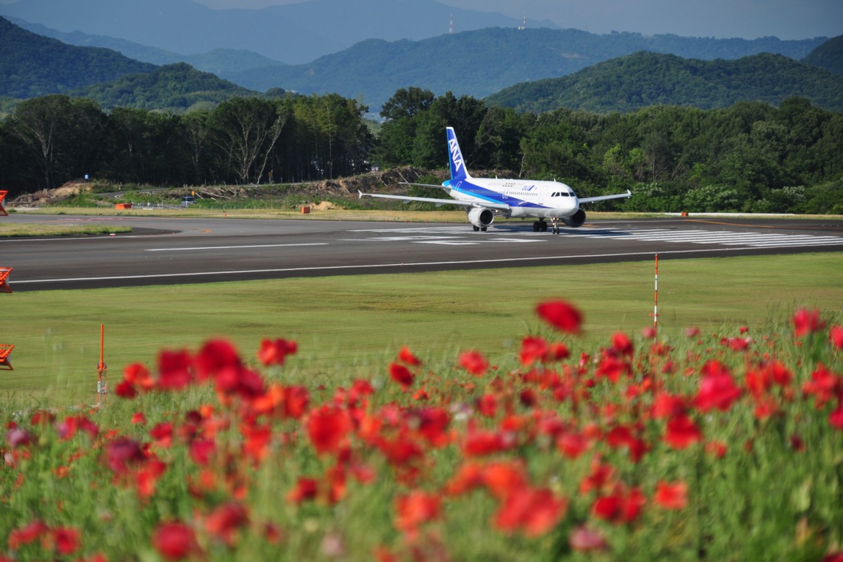 撮影・高松空港