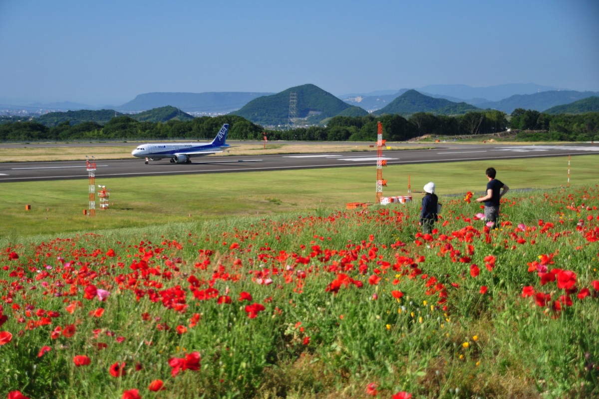 撮影・高松空港