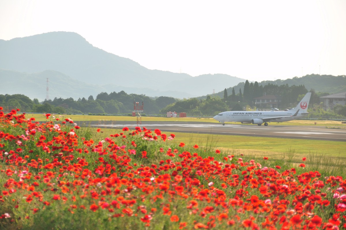 撮影・高松空港