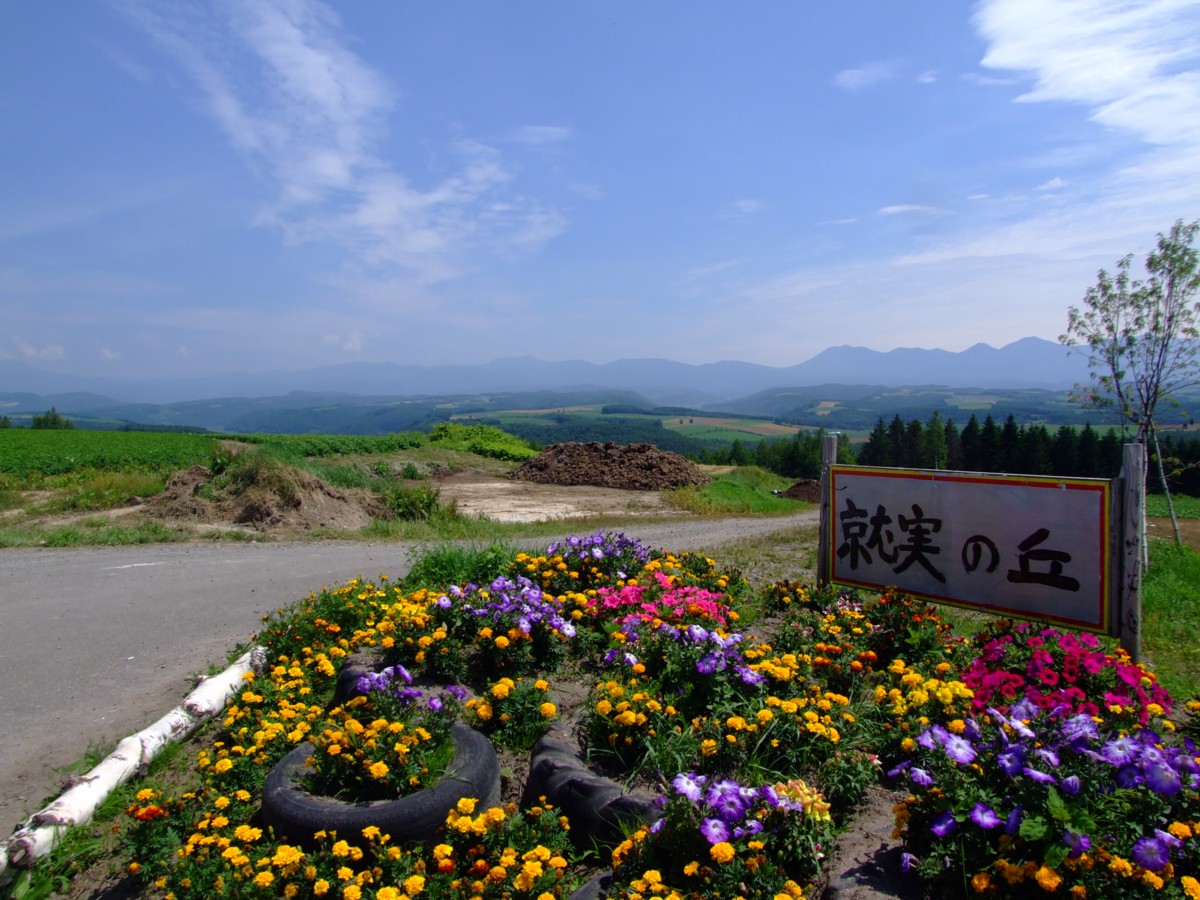 撮影・風景写真・美瑛・富良野