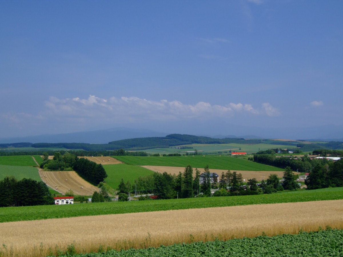 撮影・風景写真・美瑛・富良野
