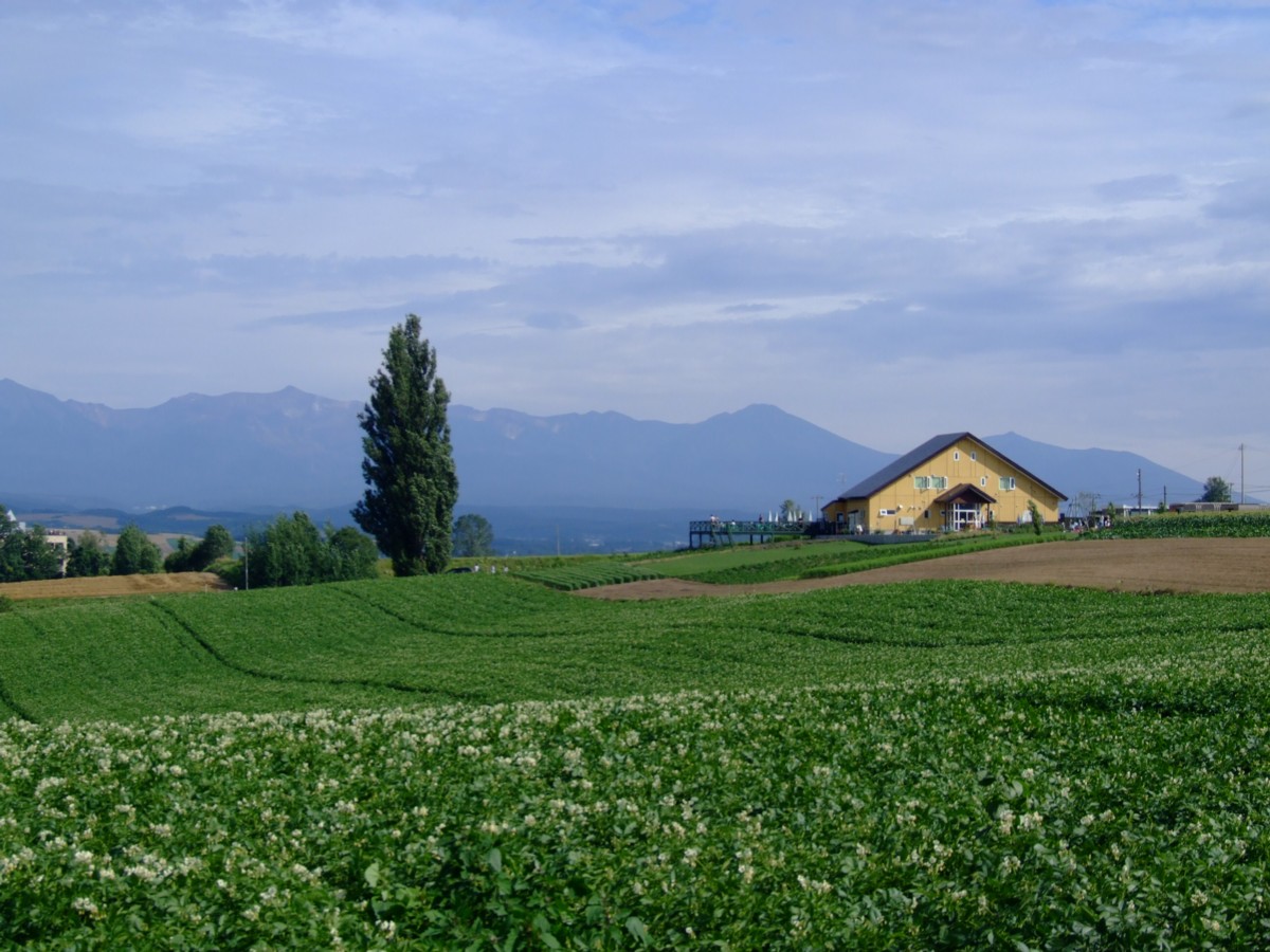 撮影・風景写真・美瑛・富良野