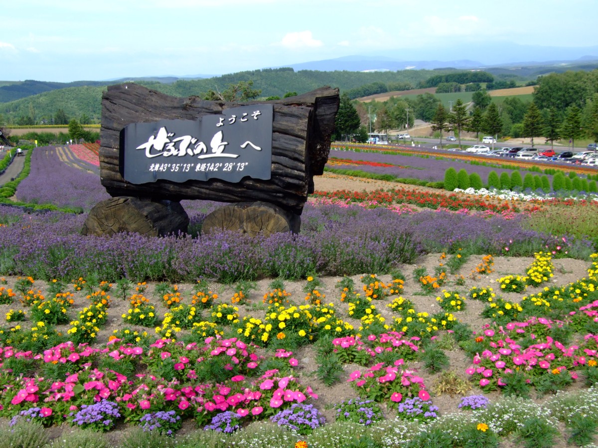 撮影・風景写真・美瑛・富良野