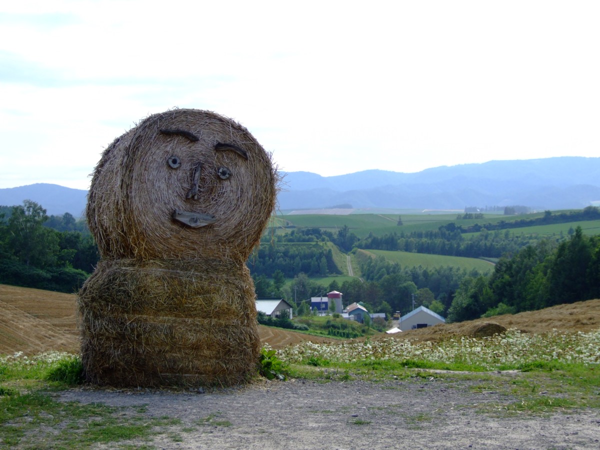 撮影・風景写真・美瑛・富良野