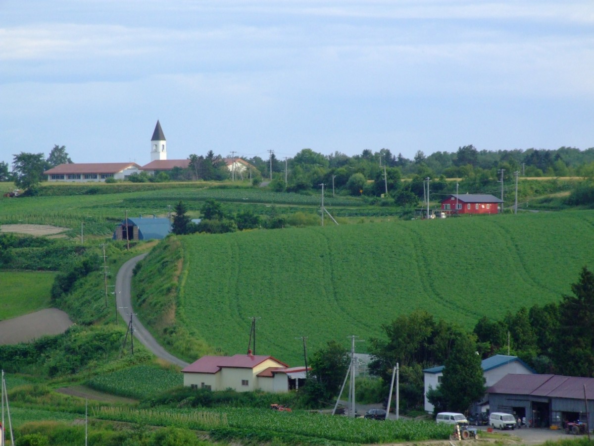撮影・風景写真・美瑛・富良野