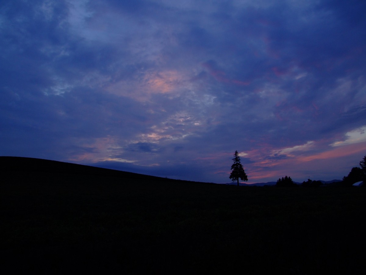 撮影・風景写真・美瑛・富良野
