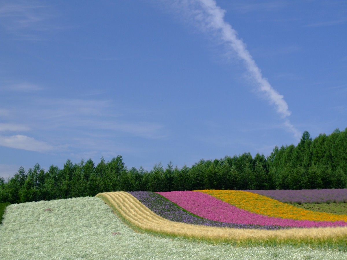 撮影・風景写真・美瑛・富良野