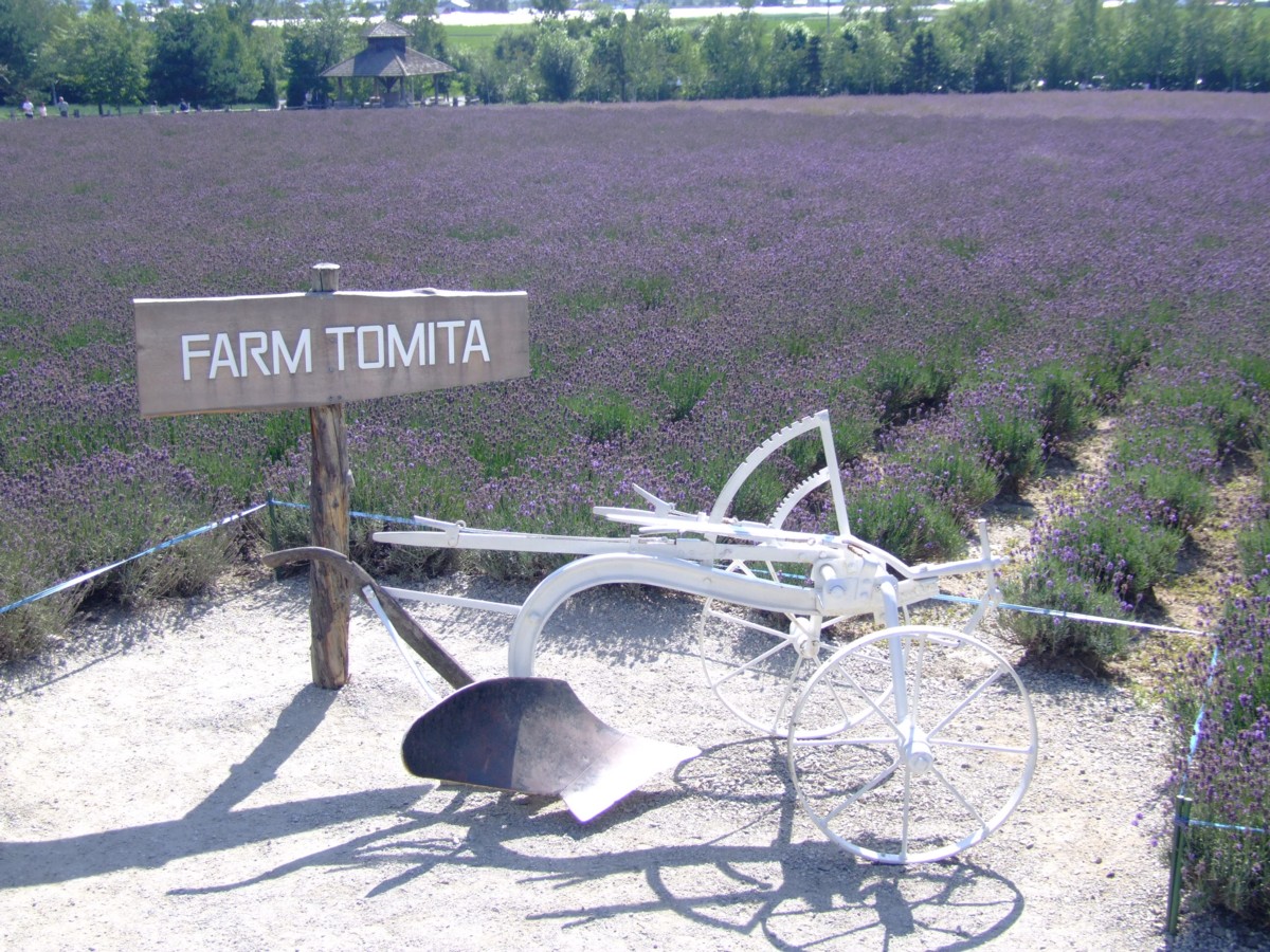 撮影・風景写真・美瑛・富良野
