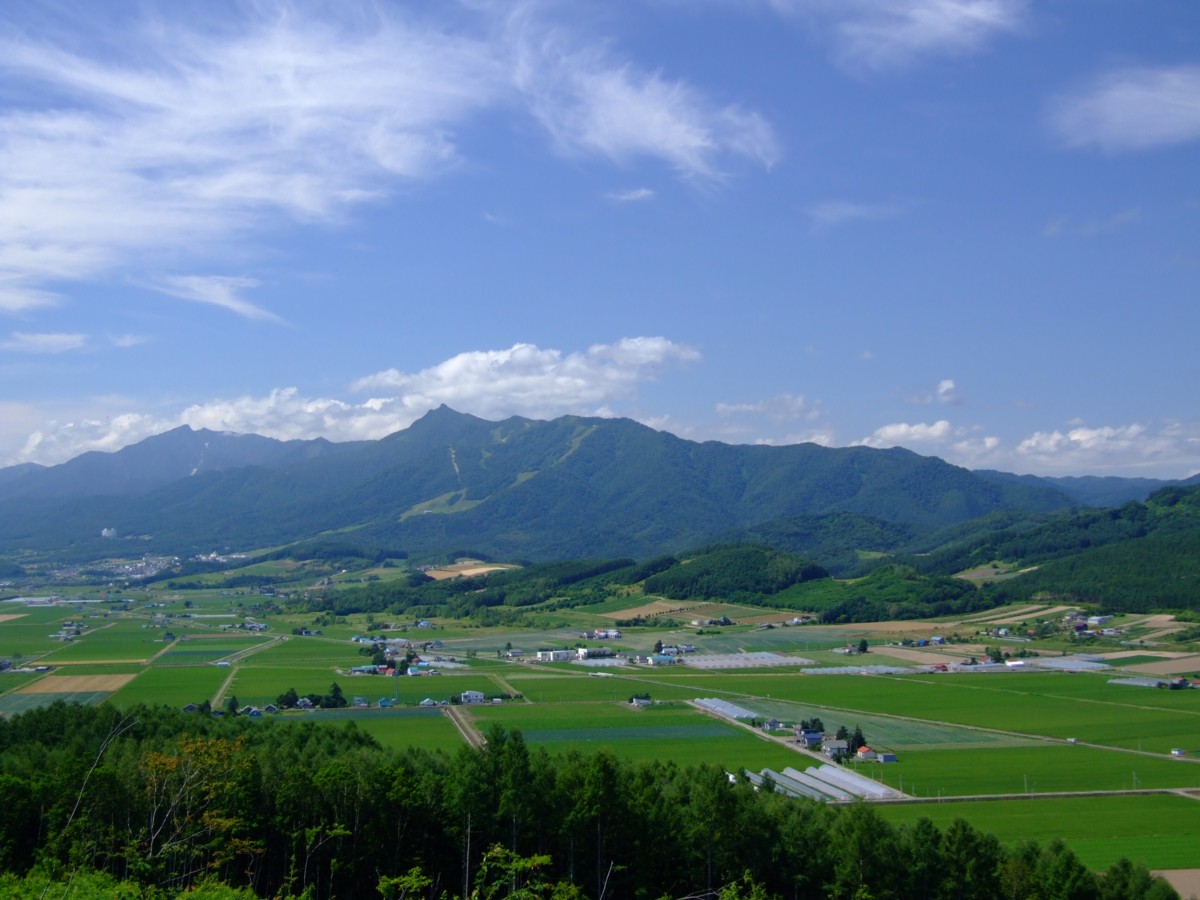 撮影・風景写真・美瑛・富良野