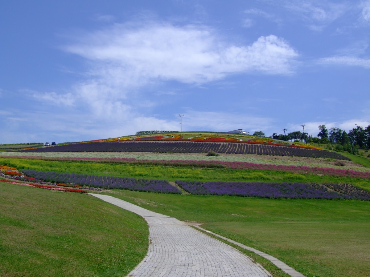 撮影・風景写真・美瑛・富良野