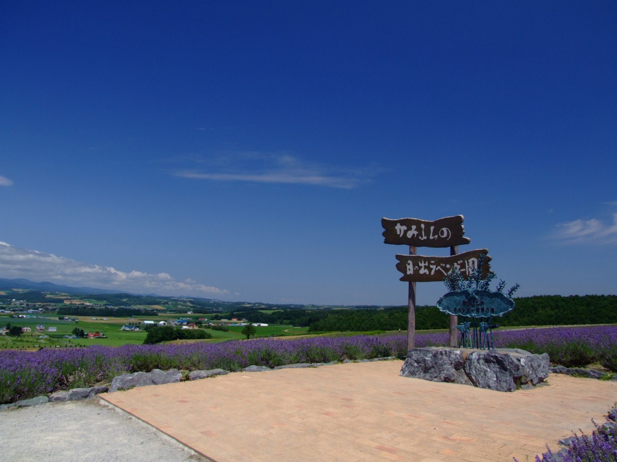 撮影・風景写真・美瑛・富良野