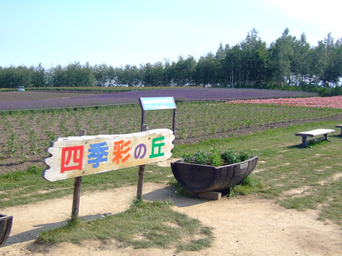 撮影・風景写真・美瑛・富良野