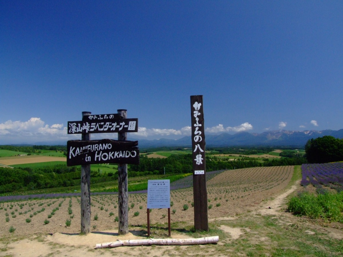撮影・風景写真・美瑛・富良野