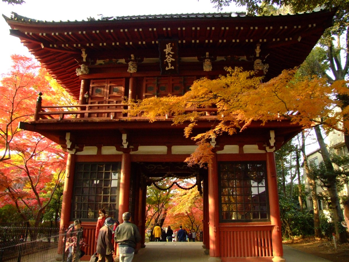 撮影・風景写真・紅葉・本土寺