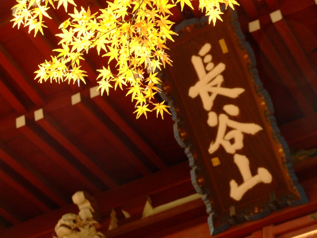 撮影・風景写真・紅葉・本土寺