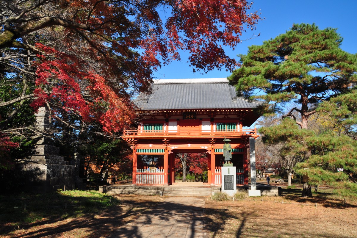 撮影・風景写真・紅葉・清水公園