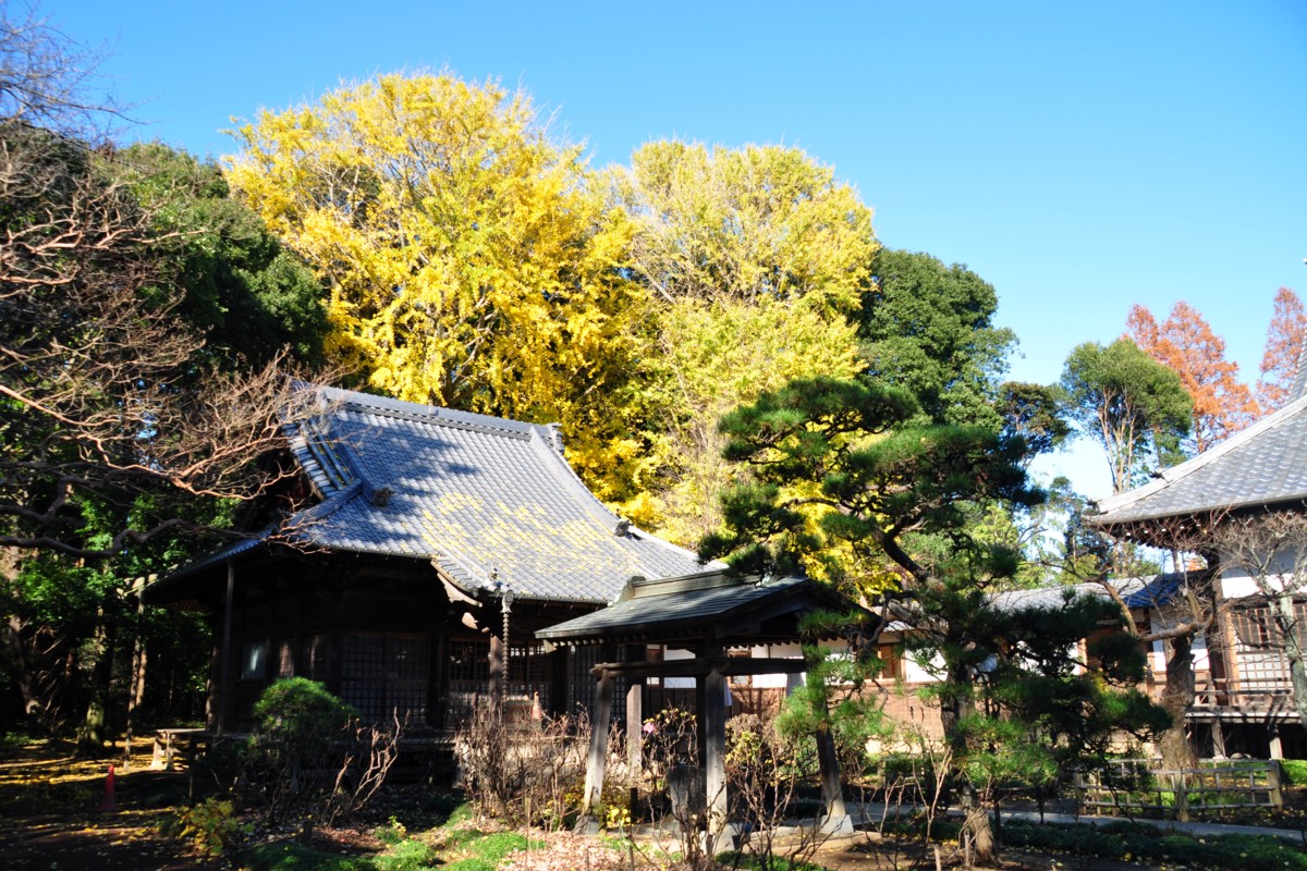 撮影・風景写真・紅葉・清水公園