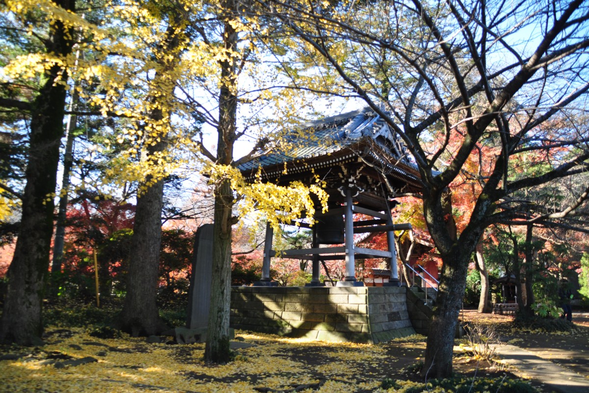 撮影・風景写真・紅葉・清水公園