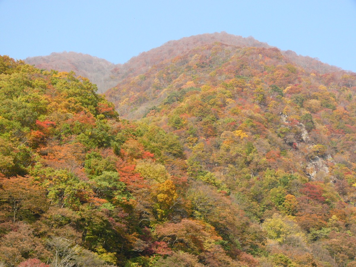 撮影・風景写真・紅葉・大川渓谷