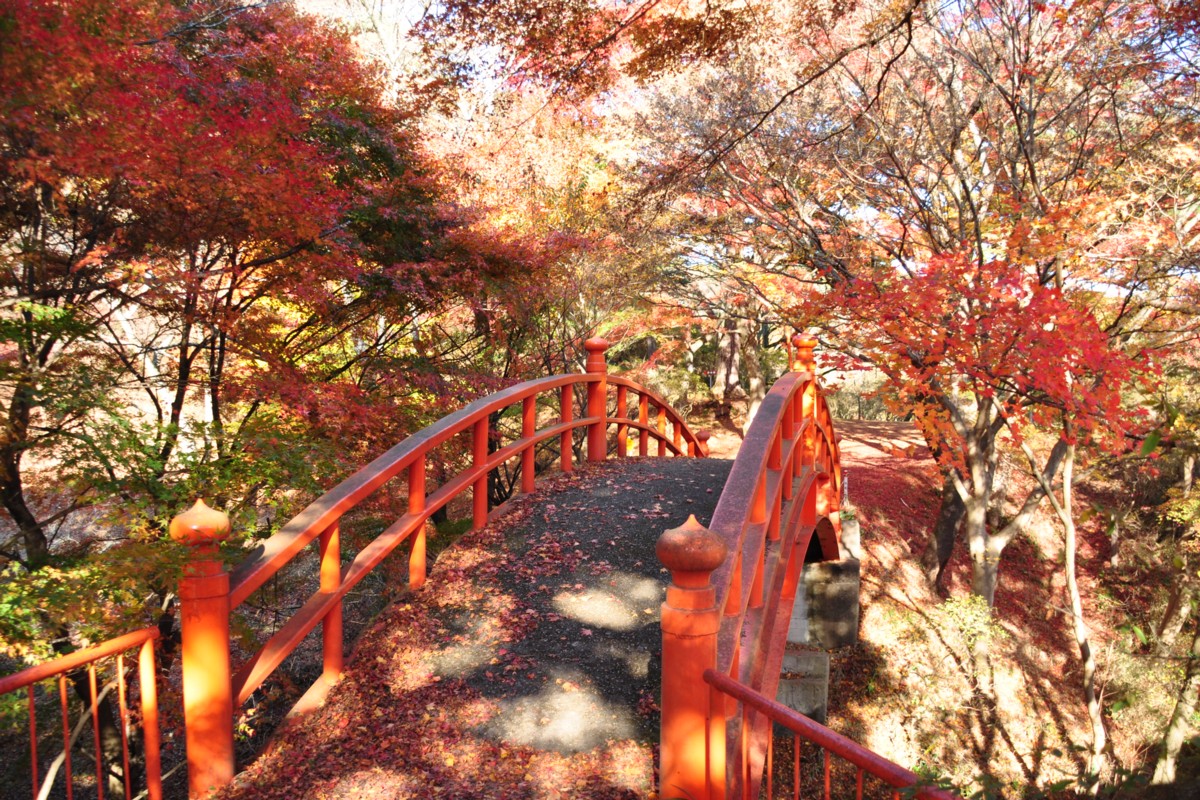 撮影・風景写真・紅葉・矢祭山公園