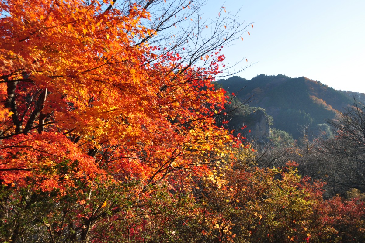撮影・風景写真・紅葉・矢祭山公園