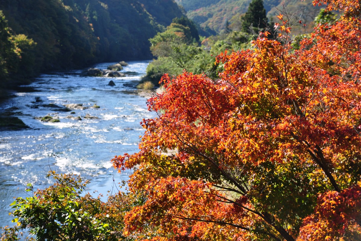 撮影・風景写真・紅葉・矢祭山公園