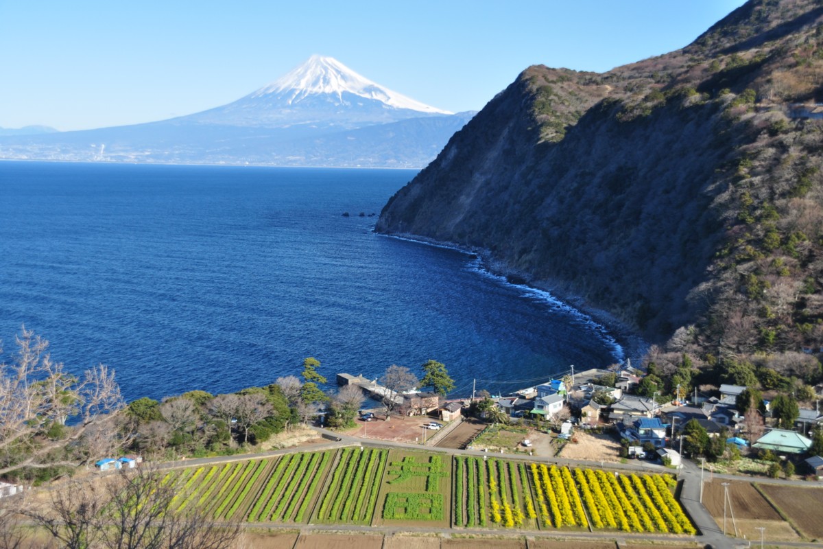 撮影・風景写真・駿河湾と富士山