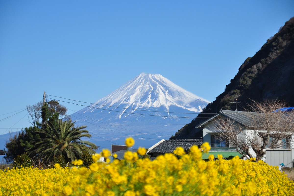 撮影・風景写真・駿河湾と富士山