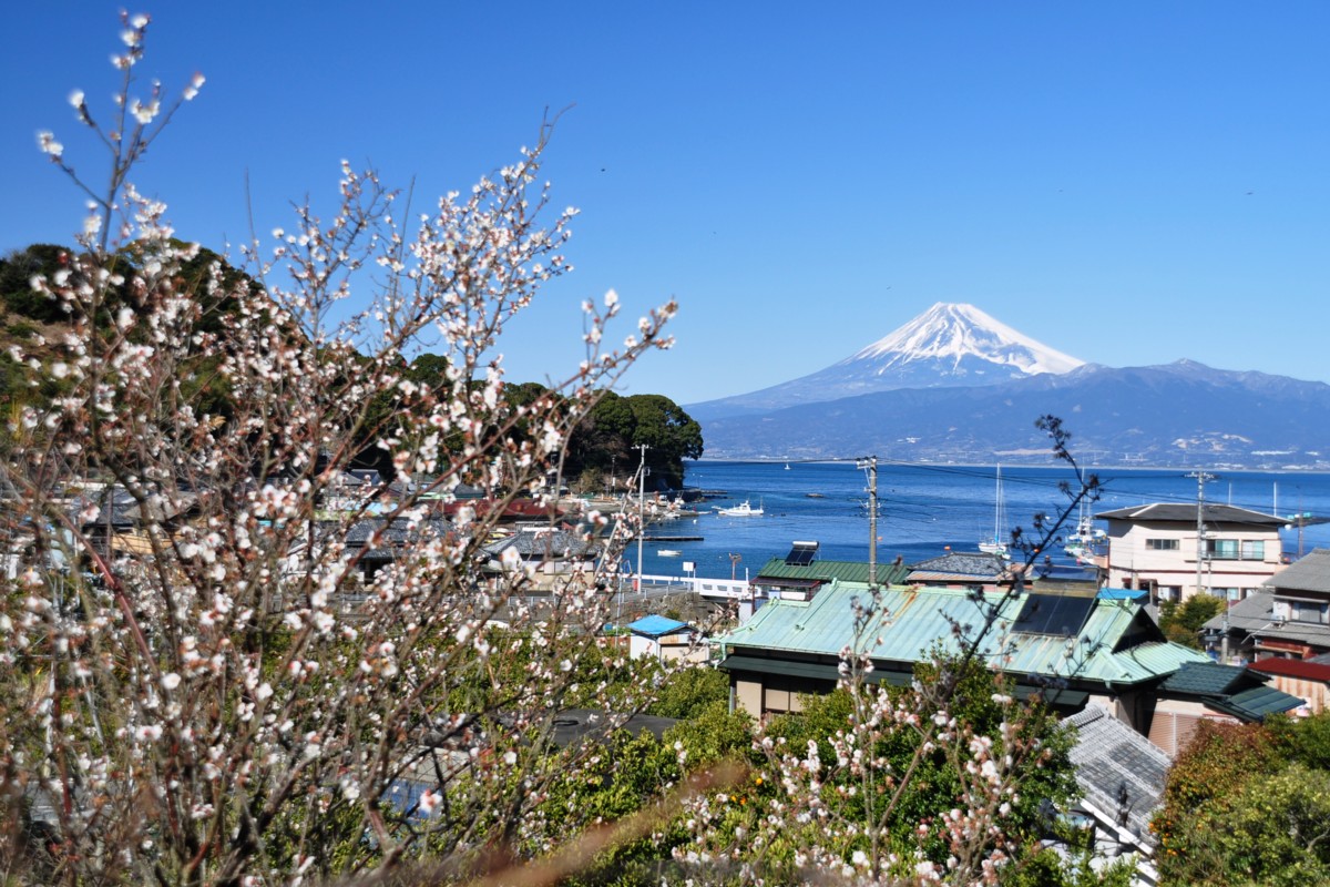 撮影・風景写真・駿河湾と富士山