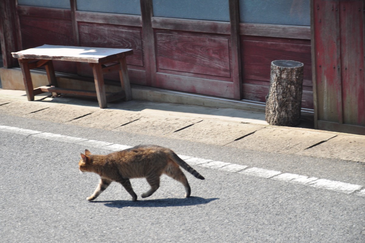 撮影・風景写真・吹屋