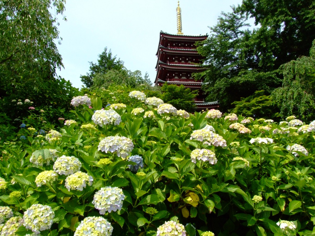 撮影・風景写真・本土寺