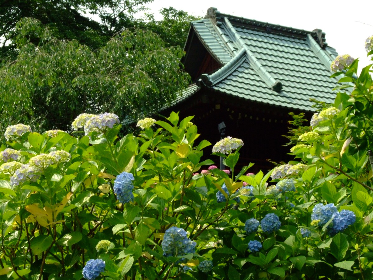 撮影・風景写真・本土寺