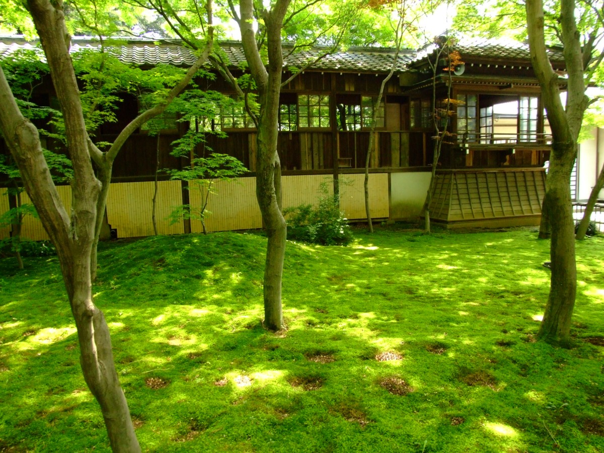 撮影・風景写真・本土寺