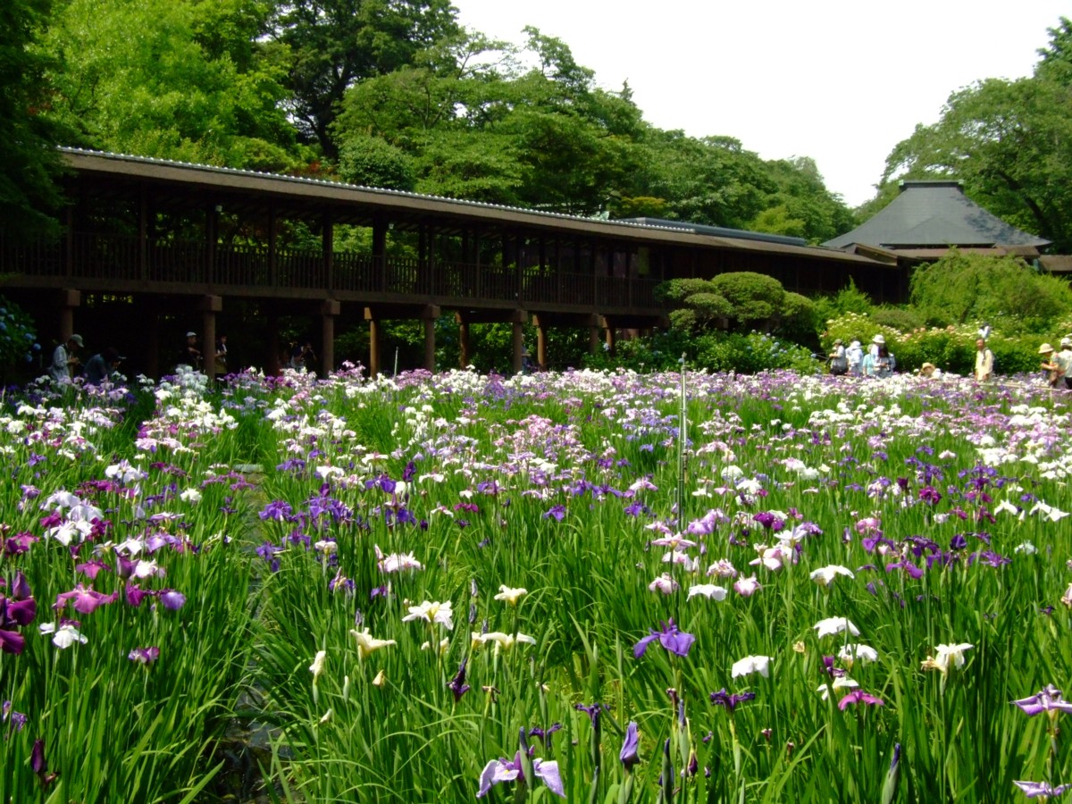 撮影・風景写真・本土寺